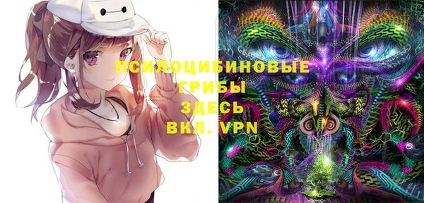 спиды Осташков