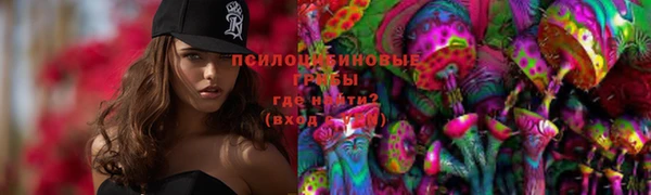 таблы Алзамай