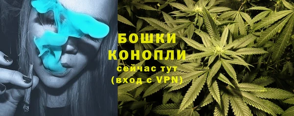 бошки Алексеевка
