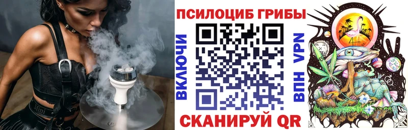 Галлюциногенные грибы Psilocybe  Ахтубинск 